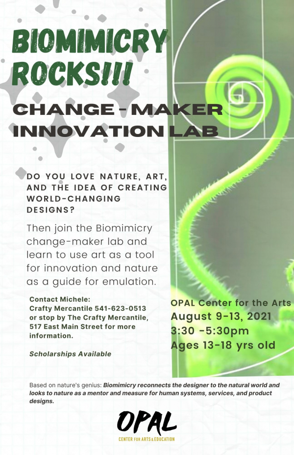 Biomimicry innovation lab